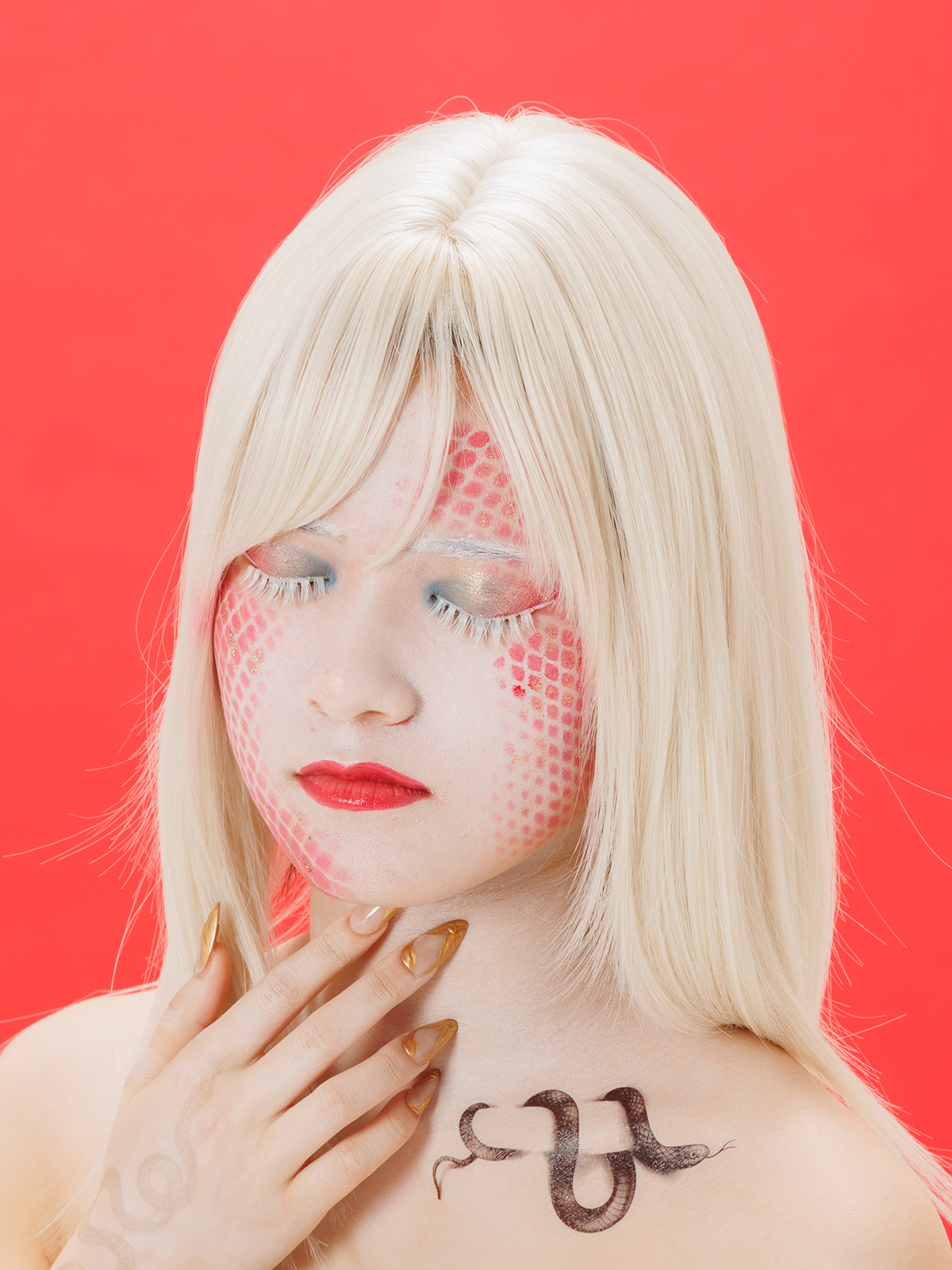 斉藤 桃香さんの作品画像